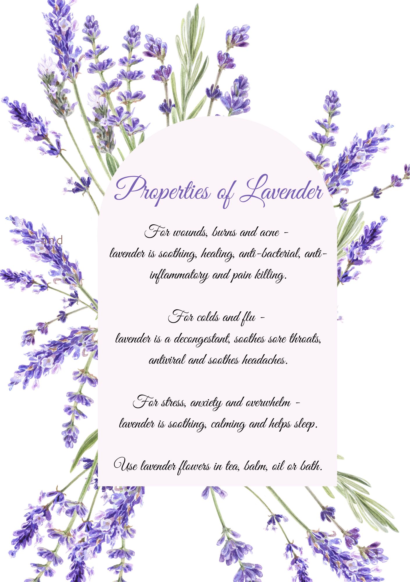 Medicinal Properties Of Lavender A5 and A4 poster – digital download ...